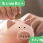 Savings Account